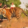 Experience Wildlife Safari with India Tiger Tours