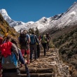 Poon Hill Trek – The best short treks in Nepal